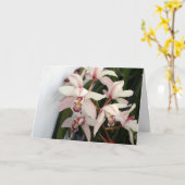 Picture 003 karte (Gelbe Blume)