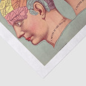Picture of Perfect Health Vintage Anatomy Seidenpapier (Ausschnitt)
