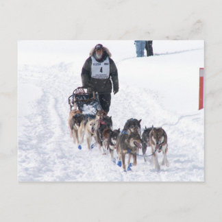 PIcture Perfect 2009 UP 200 Postkarte