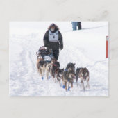 PIcture Perfect 2009 UP 200 Postkarte (Vorderseite)