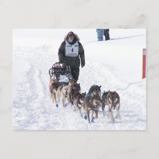 PIcture Perfect 2009 UP 200 Postkarte (Vorderseite)