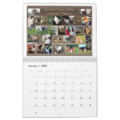 Picture Perfect Foto Calendar Schöne Ziegen Kalender (Jan 2027)