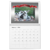 Picture Perfect Foto Calendar Schöne Ziegen Kalender (Feb 2026)