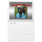 Picture Perfect Foto Calendar Schöne Ziegen Kalender (Mär 2026)