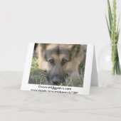 Picture Perfect Niedlich Puppy Dog Karte (Rückseite)
