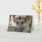 Picture Perfect Niedlich Puppy Dog Karte (Gelbe Blume)