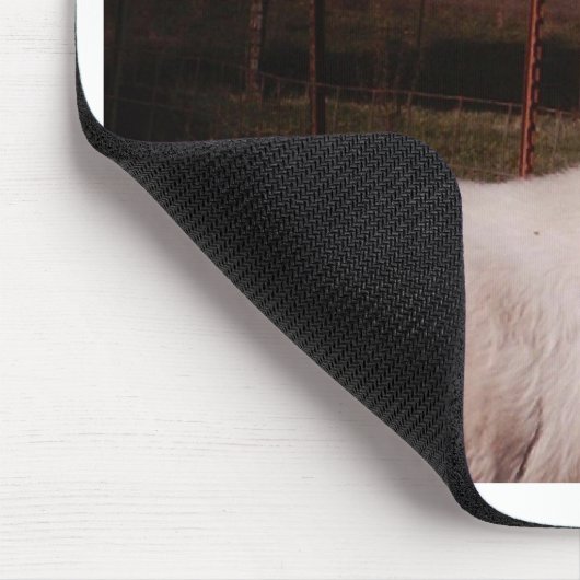 pictures024 mousepad (Ecke)