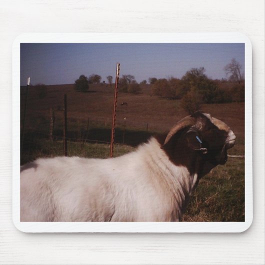 pictures024 mousepad (Vorne)