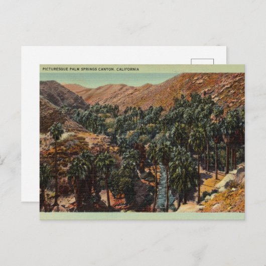 Picturesque Palm Springs Canyon, Kalifornien Postkarte (Vorne/Hinten)