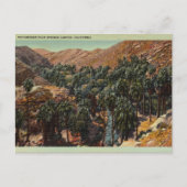 Picturesque Palm Springs Canyon, Kalifornien Postkarte (Vorderseite)