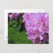 Picturesque Rhododendron Postkarte (Vorne/Hinten)