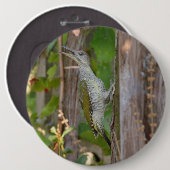 Picus Viridis - Grünspecht Button (Vorne & Hinten)