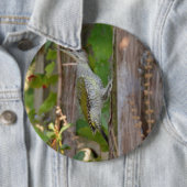 Picus Viridis - Grünspecht Button (Beispiel)