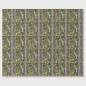 Picus Viridis - Grünspecht Geschenkpapier (Flach)