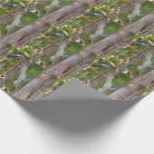 Picus Viridis - Grünspecht Geschenkpapier (Ecke)