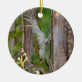 Picus Viridis - Grünspecht Keramikornament (Vorne)