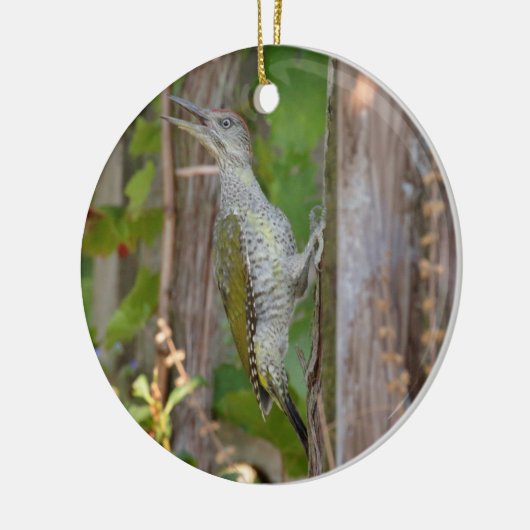 Picus Viridis - Grünspecht Keramikornament (Links)