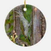 Picus Viridis - Grünspecht Keramikornament (Hinten)