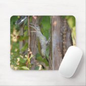Picus Viridis - Grünspecht Mousepad (Mit Mouse)