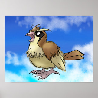 Pidge Y Poster