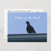 Pidgie am Dach Postkarte (Vorne/Hinten)