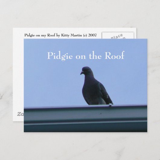 Pidgie am Dach Postkarte (Vorne/Hinten)