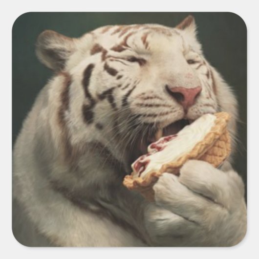 Pie-Loving White Tiger – Fun Sticker (Vorderseite)