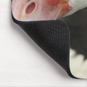 Pie sagt: "Hi!" Mousepad (Ecke)