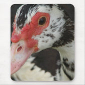 Pie sagt: "Hi!" Mousepad (Vorne)