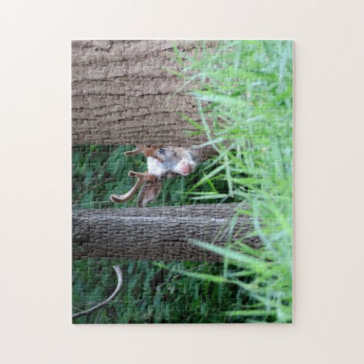 Piebald-Buck-Puzzle Puzzle (Vertikal)