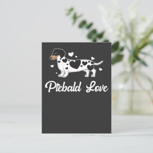 Piebald Dackel Dog Owner Gift Postkarte (Stehend Vorderseite)