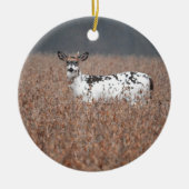Piebald Deer Foto Ornament (Vorne)