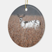 Piebald Deer Foto Ornament (Links)
