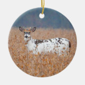 Piebald Deer Foto Ornament (Vorne)