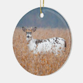 Piebald Deer Foto Ornament (Links)