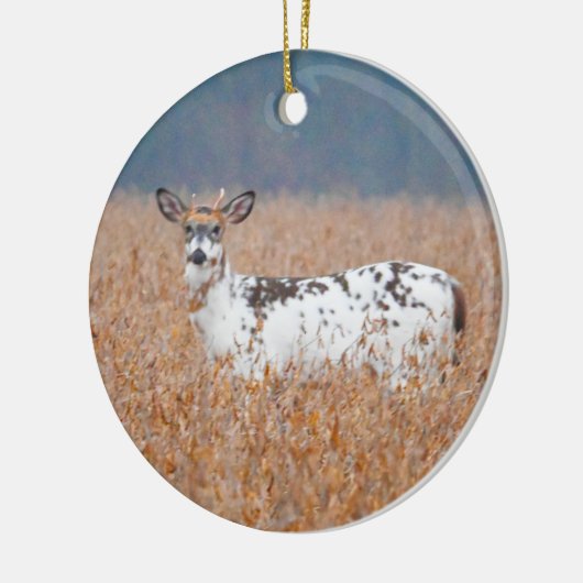 Piebald Deer Foto Ornament (Links)