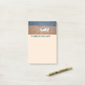 Piebald Deer Foto Post-it Klebezettel (Auf Schreibtisch)