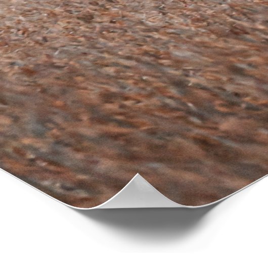 Piebald Deer Foto Poster (Ecke)