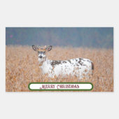Piebald Deer Foto Stickers (Vorderseite)