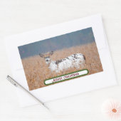 Piebald Deer Foto Stickers (Umschlag)