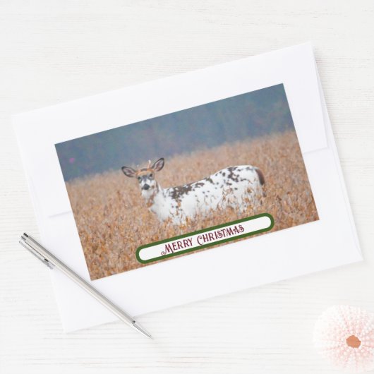Piebald Deer Foto Stickers (Umschlag)