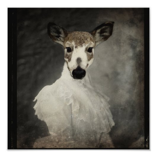 Piebald Deer im Kleid Fotodruck (Vorne)