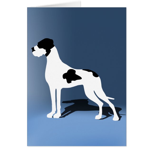 Piebald Great Dane (Vorne)