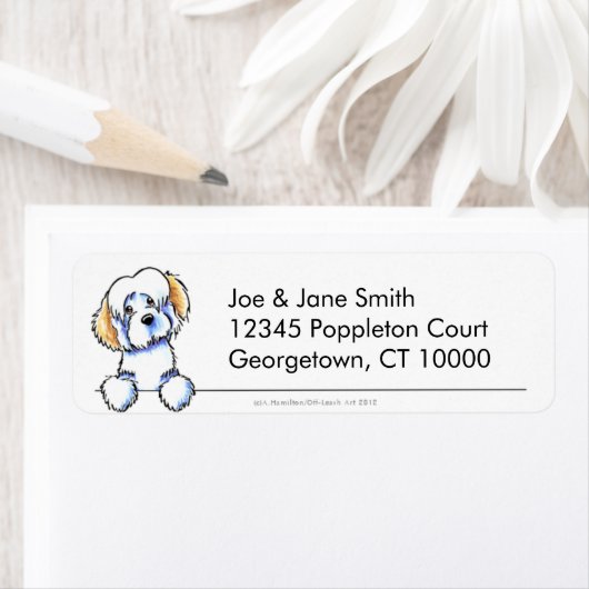 Piebald Havanese Clean & Simple (Insitu)