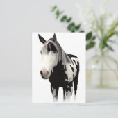 Piebald Paint Horse Art Postkarte (Stehend Vorderseite)