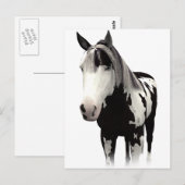 Piebald Paint Horse Art Postkarte (Vorne/Hinten)