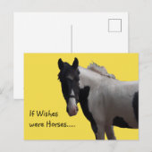 Piebald Paint Pony Postkarte (Vorne/Hinten)