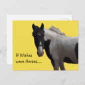 Piebald Paint Pony wünscht Yellow Foto Postkarte (Vorne/Hinten)