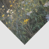 Piebald Peacock on Split rail fence Seidenpapier (Ausschnitt)