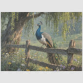 Piebald Peacock on Split rail fence Seidenpapier (Vorderseite)